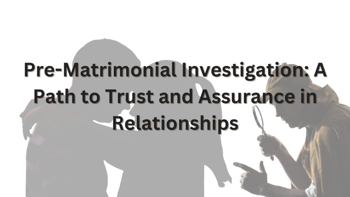 Pre Matrimonial Investigation